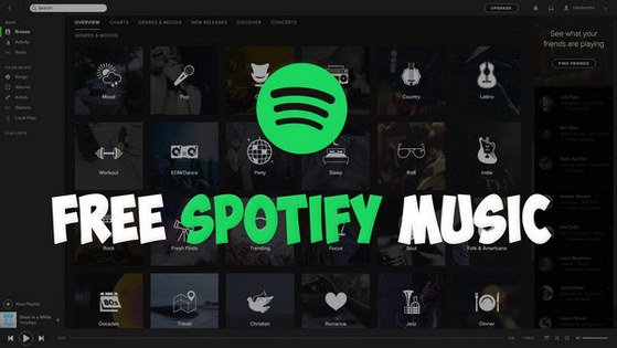 Listen to spotify without app